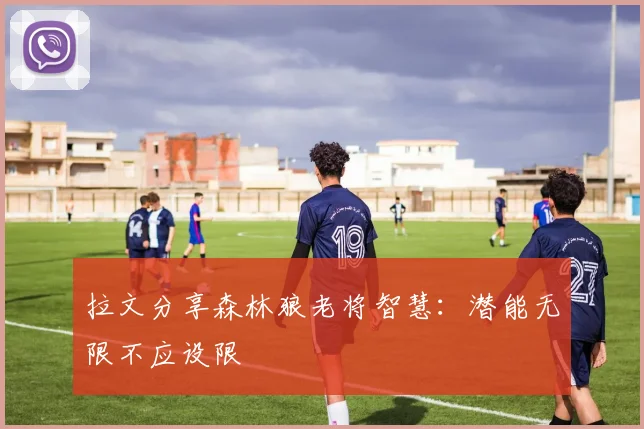 拉文分享森林狼老将智慧：潜能无限不应设限